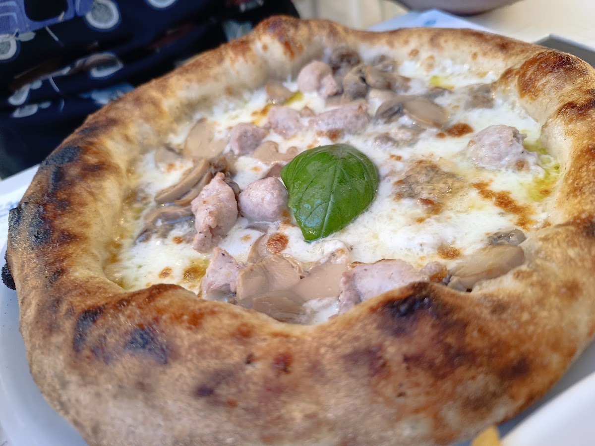 Casa Bièrethèque-2